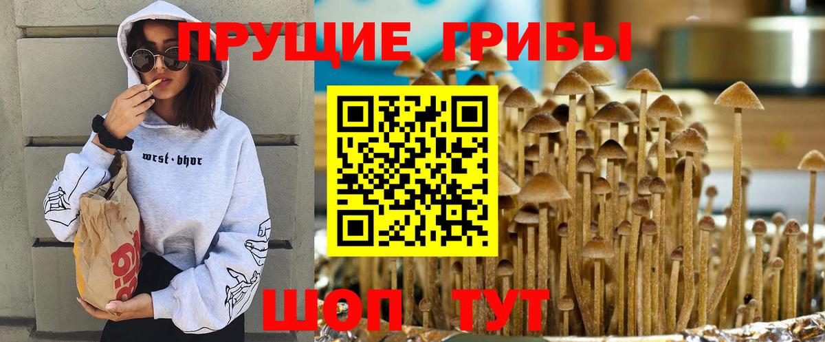 Галлюциногенные грибы мицелий Татарск