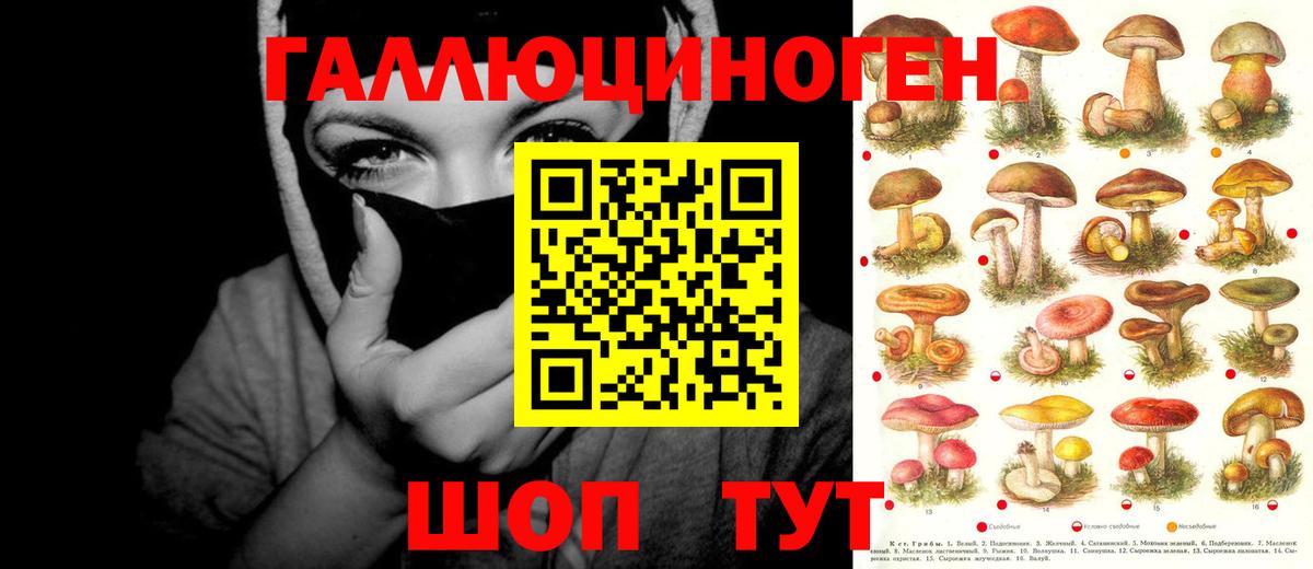 Татарск  Псилоцибиновые грибы Psilocybe  Вход с VPN 